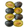 THJ Arôme Prune Super Concentré