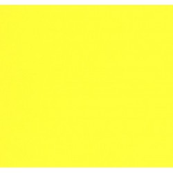 THJ Colorant Alimentaire Jaune