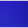 THJ Colorant Alimentaire Bleu