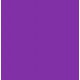 THJ Colorant Alimentaire Violet