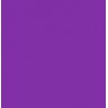 THJ Colorant Alimentaire Violet