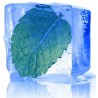 THJ Arôme Menthe Extra Fraiche Super Concentre