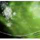 THJ Arôme Menthol et Wintergreen Super Concentre