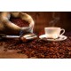 THJ Arôme Gourmet Café Mocha
