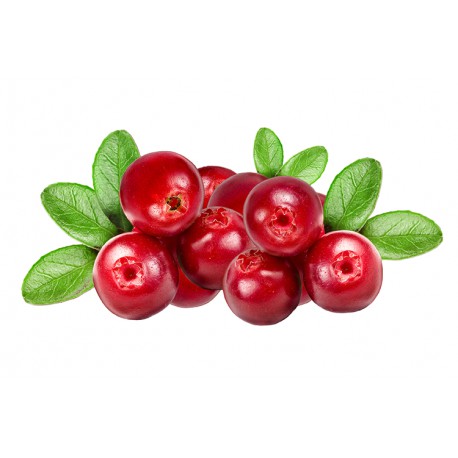 THJ Arôme Gourmet Cranberries Naturel