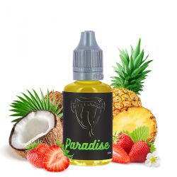 Concentré Paradise 30 ml - Viper Labs