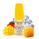 Concentré Sun Tan Mango 30ml - Dinner Lady