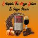 Ze Hooch e-liquides THJ