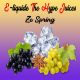 Ze Spring e-liquides THJ