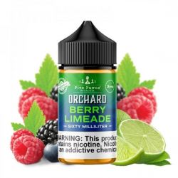 E-liquide Berry Limeade 50 ml - Five Pawns