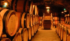 Conseils et Astuces Steep (maturation optimale de vos liquides)